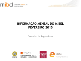 informa&ccedil;&atilde;o mensal do mibel - fevereiro 2015