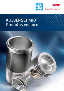 do documento - MS Motorservice International GmbH