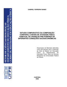 Gabriel Ferreira Nunes-2006 - DSpace