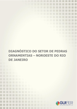 DIAGN&Oacute;STICO DO SETOR DE PEDRAS ORNAMENTIAS