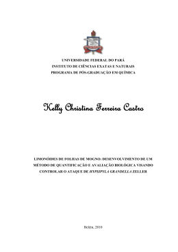 Kelly Christina Ferreira Castro