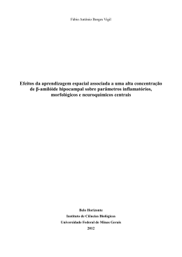 Efeitos da aprendizagem espacial associada a uma alta