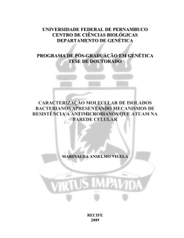 Visualizar/Abrir - Universidade Federal de Pernambuco