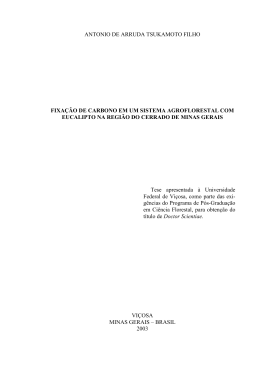 Fixa&ccedil;&atilde;o de carbono em um sistema agroflorestal com