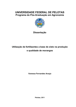 As frutas nativas do Brasil apresentam grande potencial