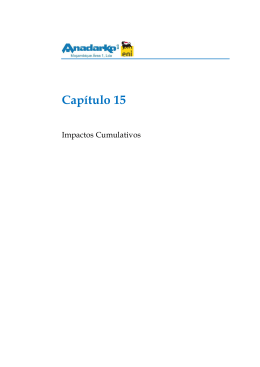 15. Impactos Cumulativos