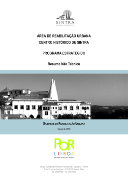 Resumo N&atilde;o T&eacute;cnico - C&acirc;mara Municipal de Sintra