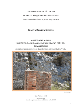 irmina doneux santos - Biblioteca Digital de Teses e Disserta&ccedil;&otilde;es