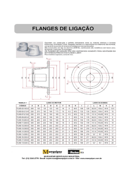 Flanges de Ligacao.xlsx