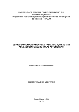 Estudo do comportamento em fadiga do a&ccedil;o SAE 5160 aplicado em