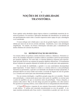 NOÇÕES DE ESTABILIDADE TRANSITÓRIA