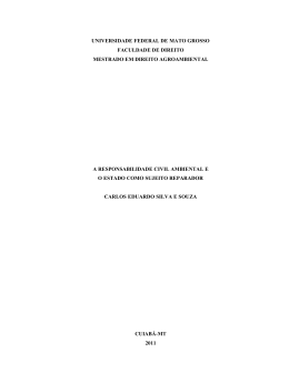 Visualizar disserta&ccedil;&atilde;o.