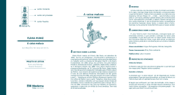 FL&Aacute;VIA MUNIZ A caixa maluca