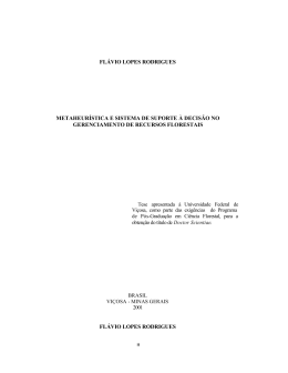 flávio lopes rodrigues metaheurística e sistema de suporte à