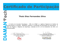 Thais Dias Fernandes Silva - Centro de Inovação Tecnológica