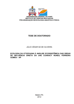tese completa (versão pdf) - Universidade Federal do Pará