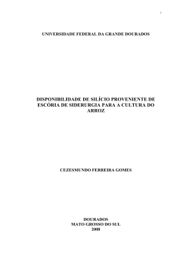 DISSERTA&Ccedil;&Atilde;O FINAL - FINAL -&Uacute;LTIMA VERS&Atilde;O