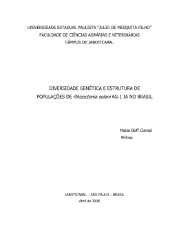 visualiza&ccedil;&atilde;o