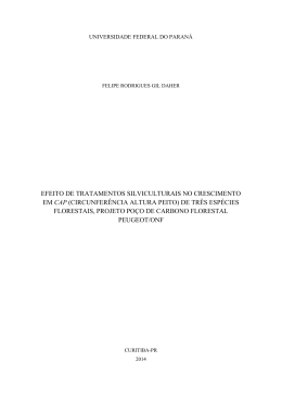 E - FELIPE RODRIGUES GIL DAHER - UFPR