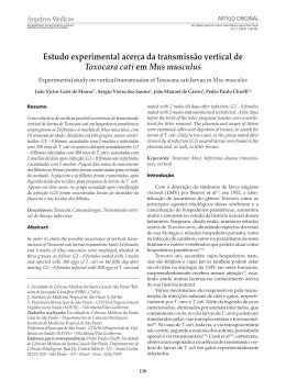 Estudo experimental acerca da transmissão vertical de Toxocara