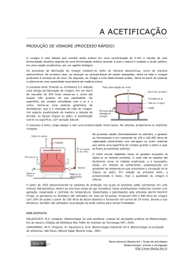 produção de vinagre (processo rápido) - BioTecnologia