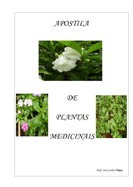 PLANTAS MEDICINAIS