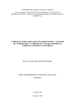 Disserta&ccedil;&atilde;o