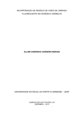 Revis&atilde;o Bibliogr&aacute;fica