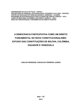 a democracia participativa como um direito fundamental no
