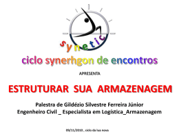 SYNETIC estruturar a armazenagem com Gildézio Silvestre 09/11