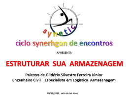 SYNETIC estruturar a armazenagem com Gild&eacute;zio Silvestre 09/11