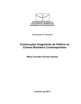 Disserta&ccedil;&atilde;o Maira Carvalho Ferreira Santos