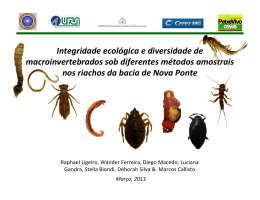 Integridade ecológica e diversidade de macroinvertebrados
