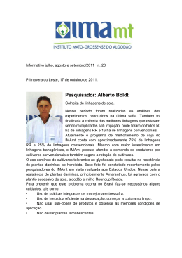 Informativo IMAmt Julho - Agosto