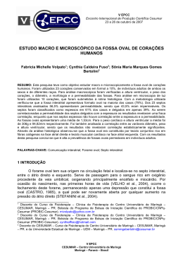 instru&ccedil;&otilde;es para elabora&ccedil;&atilde;o e formata&ccedil;&atilde;o do resumo