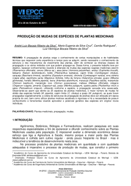 produ&ccedil;&atilde;o de mudas de esp&eacute;cies de plantas medicinais
