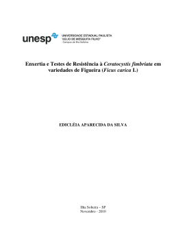 silva_ea_dr_ilha