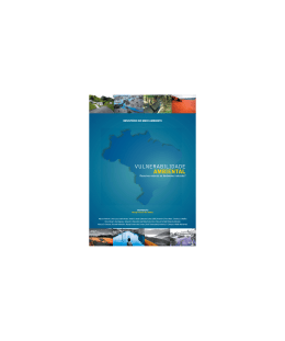 Vulnerabilidade Ambiental: Desastres naturais ou fen&ocirc;menos