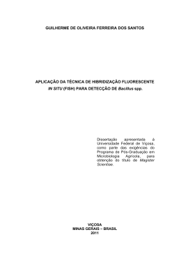 guilherme de oliveira ferreira dos santos aplica&ccedil;&atilde;o da t&eacute;cnica