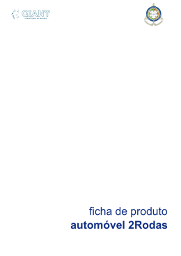 ficha de produto autom&oacute;vel 2Rodas