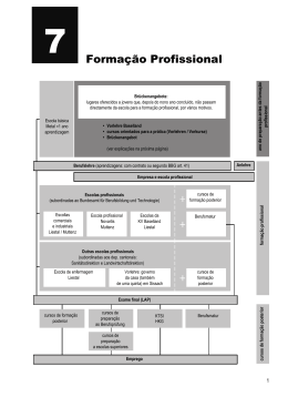 Forma&ccedil;&atilde;o Profissional - Kanton Basel