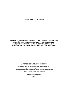 a forma&ccedil;&atilde;o profissional como estrat&eacute;gia para o