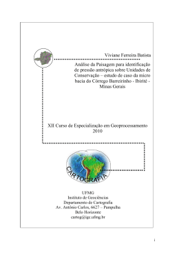 Viviane Ferreira Batista An&aacute;lise da Paisagem para identifica&ccedil;&atilde;o de