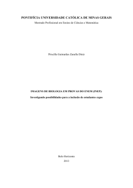 Disserta&ccedil;&atilde;o