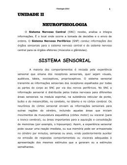 sistema sensorial