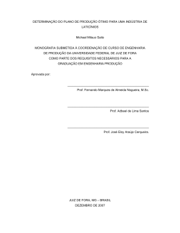 DETERMINA&Ccedil;&Atilde;O DO PLANO DE PRODU&Ccedil;&Atilde;O &Oacute;TIMO PARA