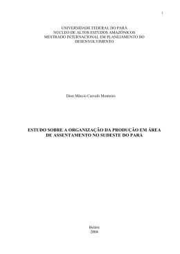 estudo sobre a organiza&ccedil;&atilde;o da produ&ccedil;&atilde;o em &aacute;rea de assentamento