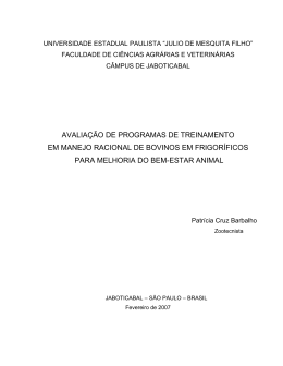 Disserta&ccedil;&atilde;o Mestrado - Patricia Barbalho