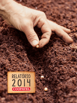 Relat&oacute;rio 2014