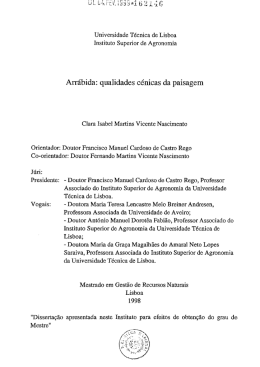 Arr&aacute;bida: qualidades cenicas da paisagem